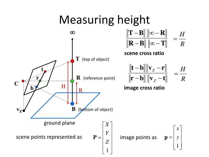PPT Measuring height PowerPoint Presentation, free