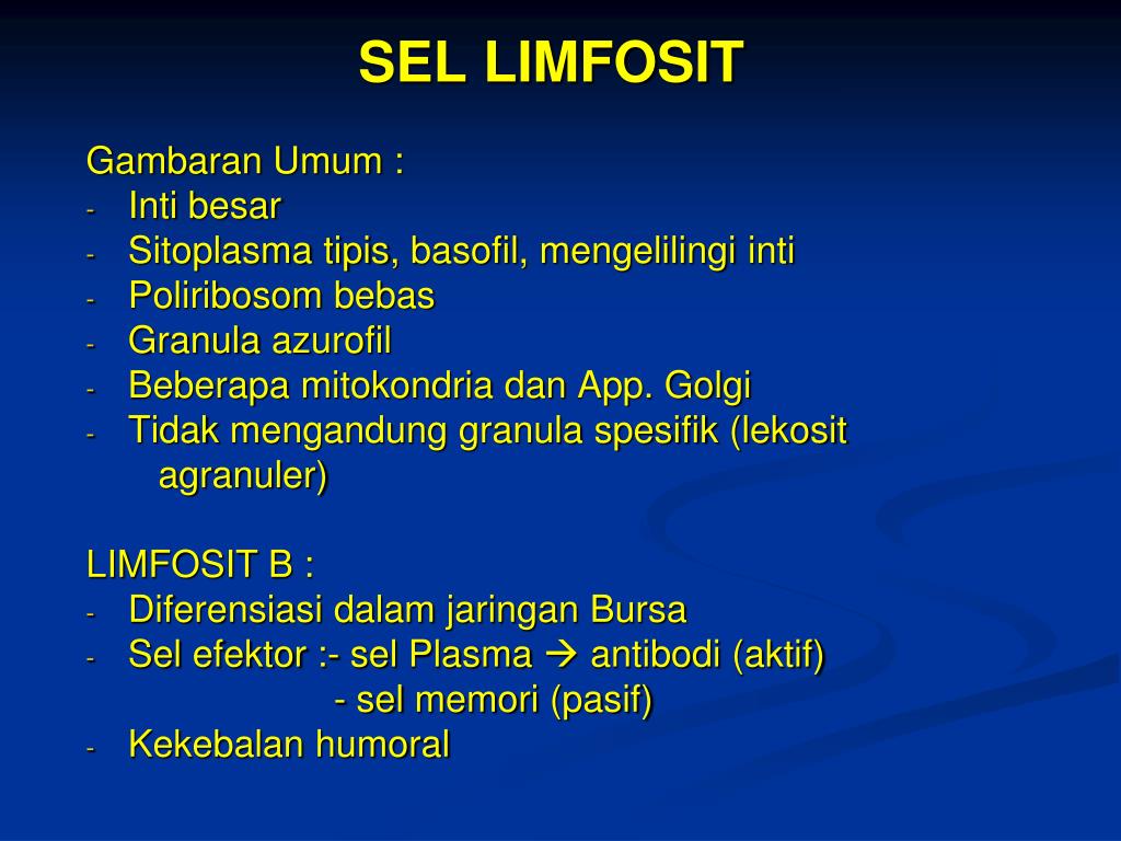 PPT SISTIMA LIMFATIKA Arif Yahya, dr., MKes PowerPoint Presentation