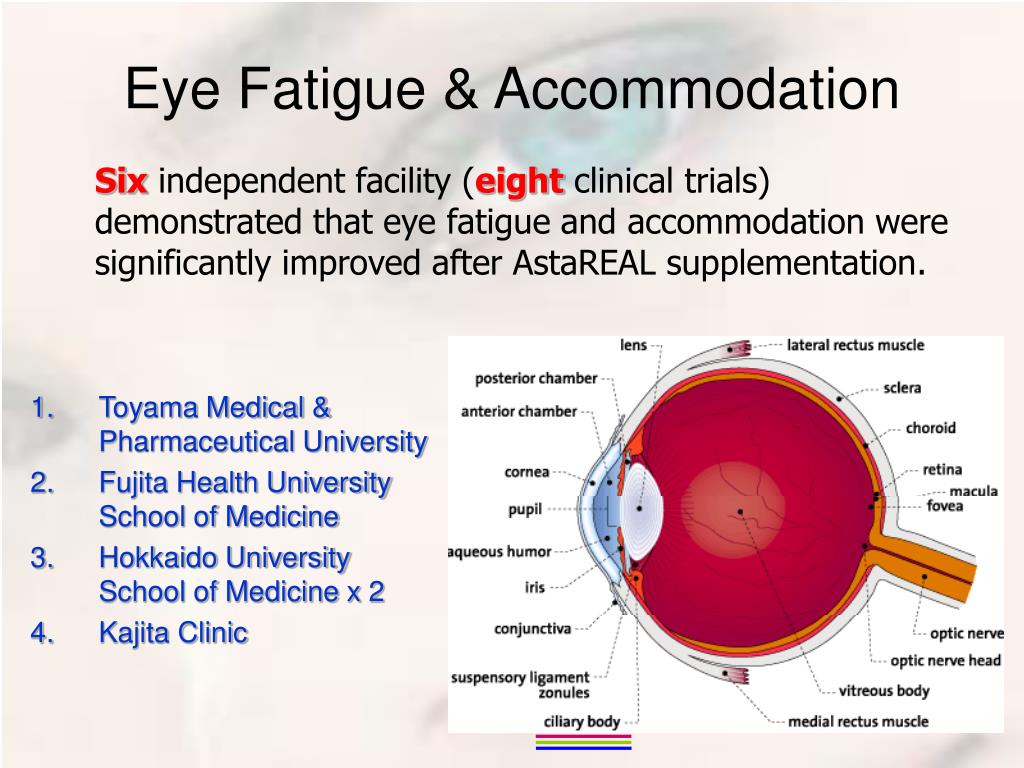 PPT AstaREAL ® Astaxanthin Reducing Eye fatigue PowerPoint