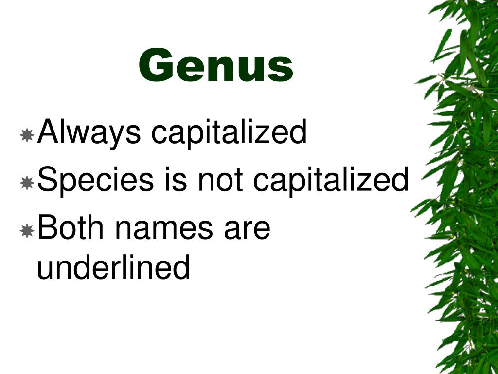 PPT How Plants are Named PowerPoint Presentation, free download ID