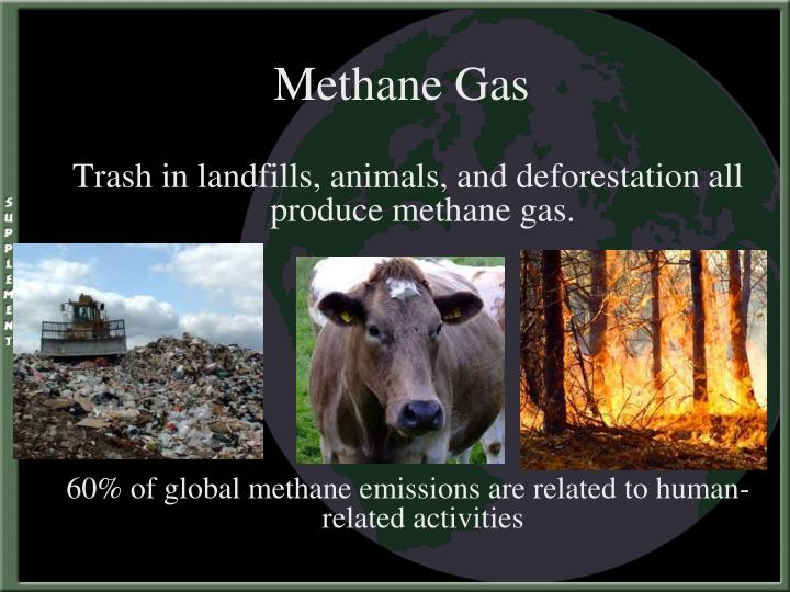 PPT GLOBAL WARMING Our Responsibility Toward Climate Change