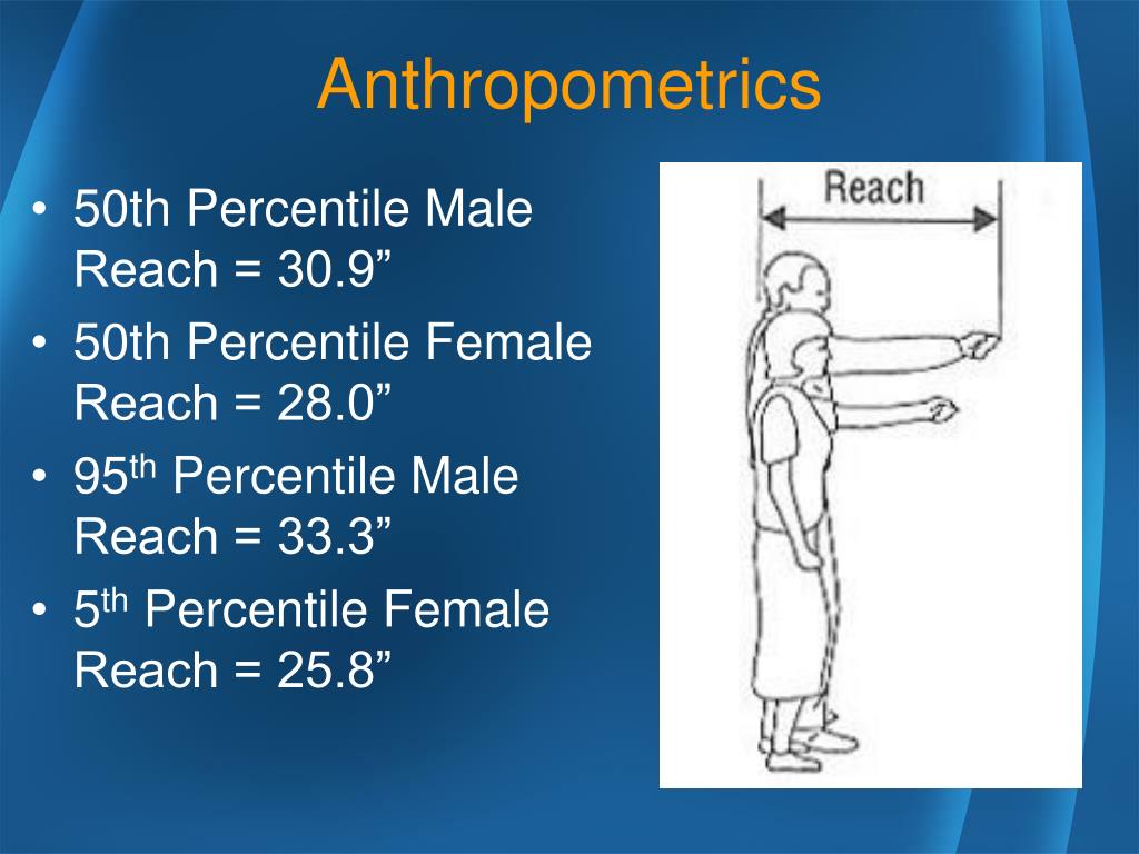 PPT Anthropometrics PowerPoint Presentation, free download ID1484900