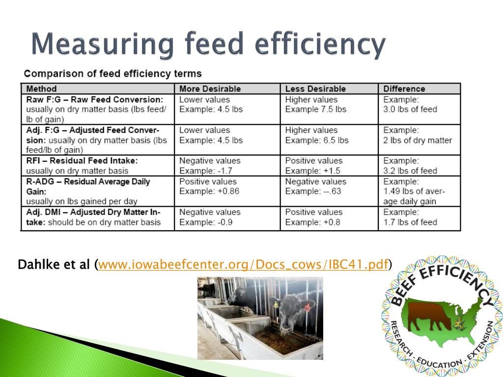 PPT National Program for the Improvement of Feed Efficiency