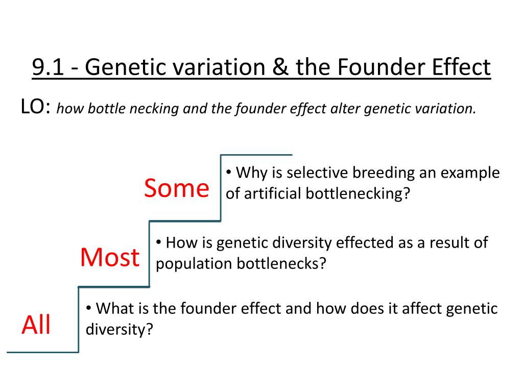 PPT 9.1 variation & the Founder Effect PowerPoint Presentation ID1486464