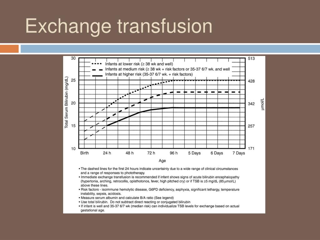 PPT JAUNDICE AND THE NEWBORN PowerPoint Presentation, free download