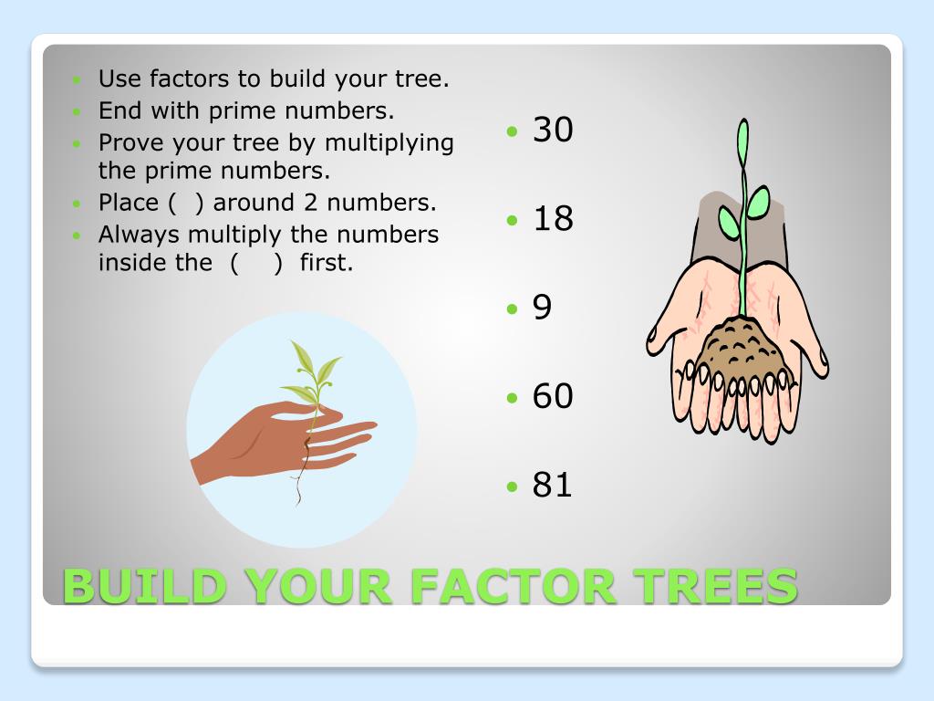 PPT How to Build a Factor Tree PowerPoint Presentation, free download
