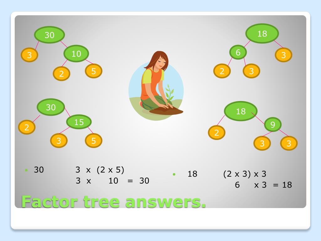 PPT How to Build a Factor Tree PowerPoint Presentation, free download