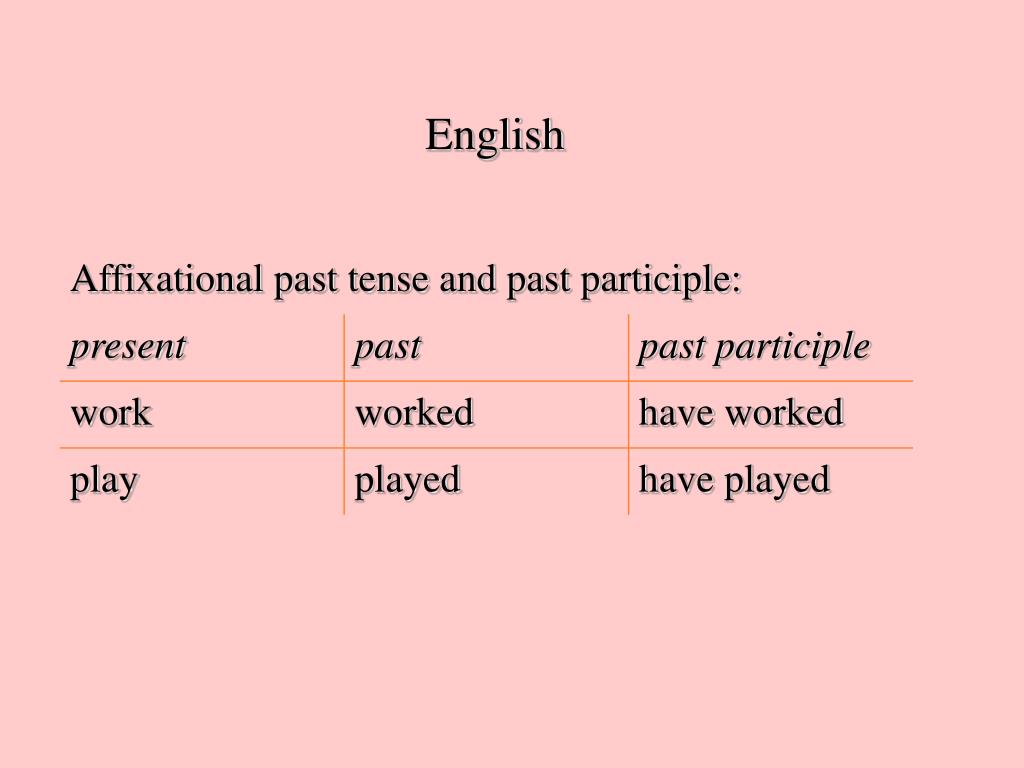 PPT Morphology Crosslinguistic variation PowerPoint Presentation