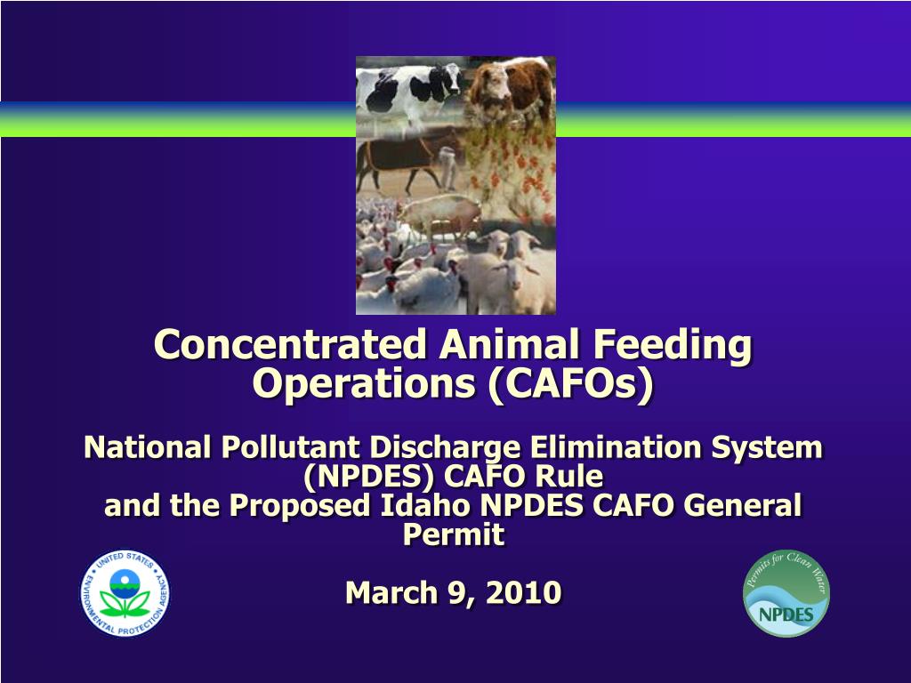 PPT Understanding NPDES CAFO Rule Updates and Idaho NPDES CAFO