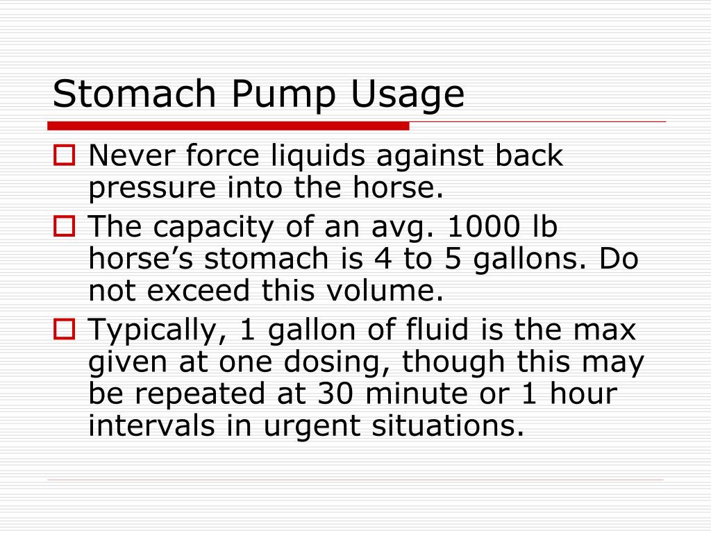 PPT Equine Medication Techniques PowerPoint Presentation, free