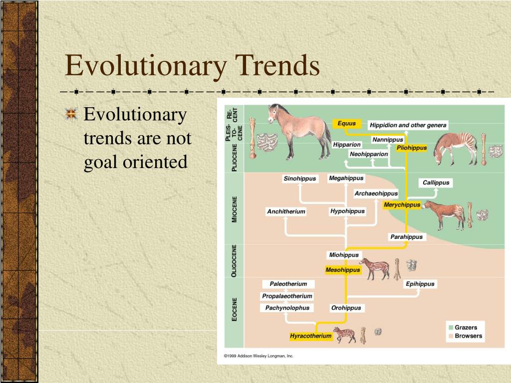 PPT The Origin of Species PowerPoint Presentation, free download ID