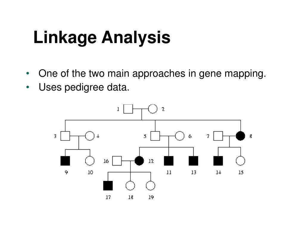 PPT Gene mapping Linkage and association methods PowerPoint