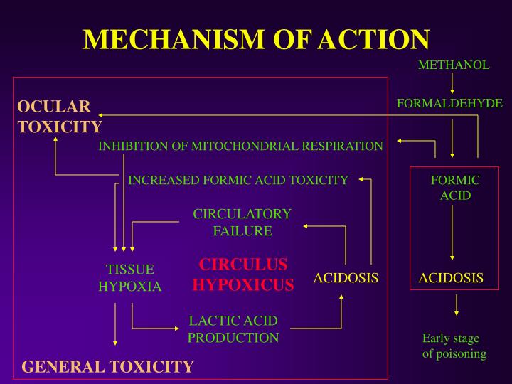 PPT METHANOL POISONING Management with Ethanol PowerPoint