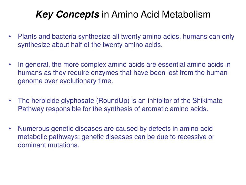 PPT Amino Acid Metabolism 2 Amino acid biosynthesis, amino acids are