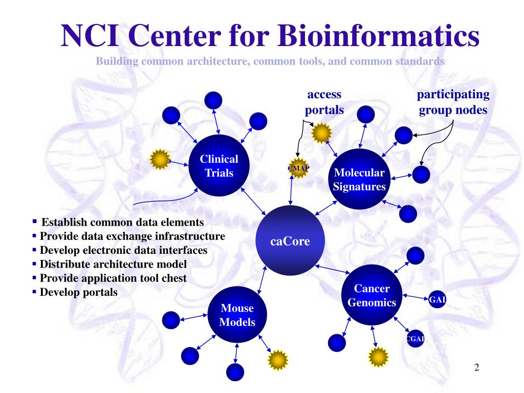 PPT NCICB Informatics PowerPoint Presentation, free download ID152258