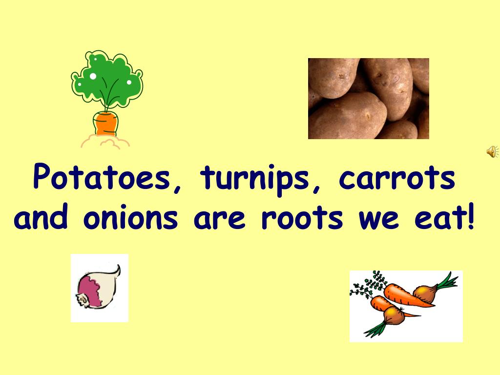 PPT Parts of a Plant PowerPoint Presentation, free download ID152850