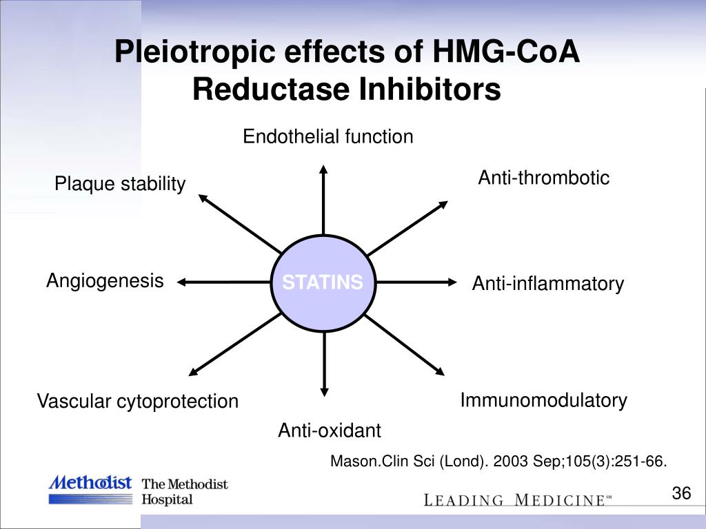 PPT Prevention of Vasospasm in Subarachnoid Hemorrhage PowerPoint