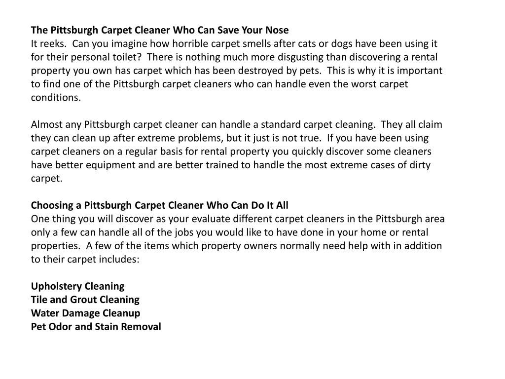 PPT the pittsburgh carpet cleaner who can save your nose PowerPoint