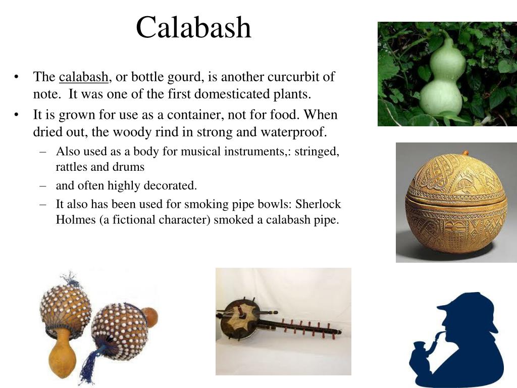 PPT Fruits and Vegetables PowerPoint Presentation, free download ID