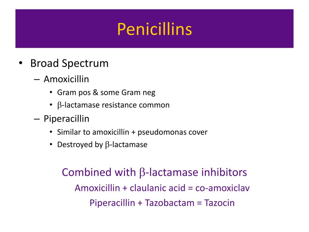 PPT Antibiotics PowerPoint Presentation, free download