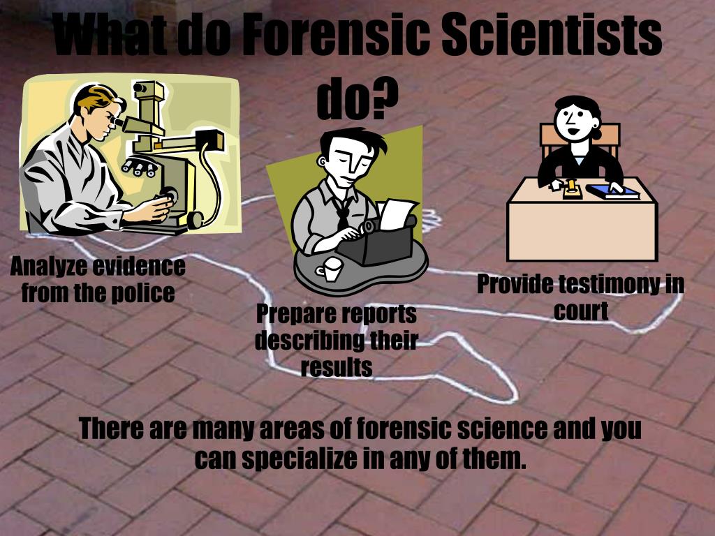 PPT Forensic Scientists PowerPoint Presentation, free download ID