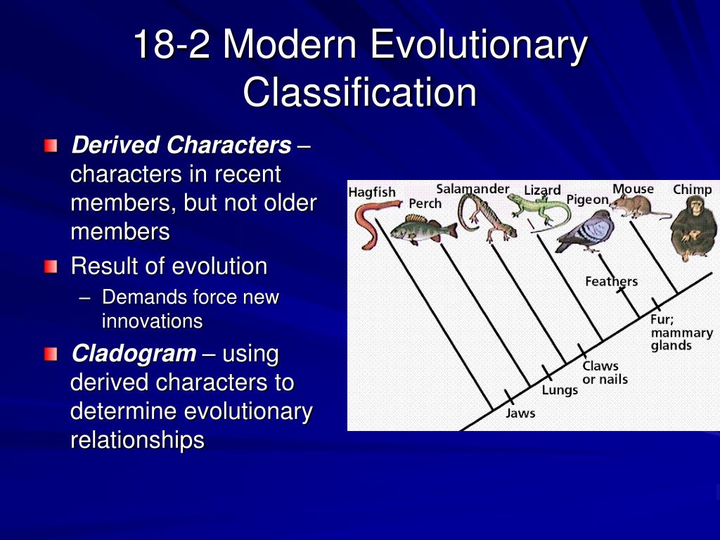 PPT - Classification PowerPoint Presentation, free download - ID:158921