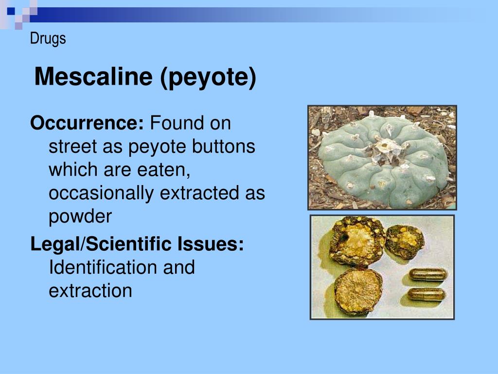 PPT Controlled Substances PowerPoint Presentation, free download ID