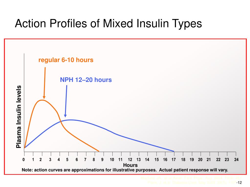 PPT Managing the patient on insulin. A Practical Approach Neum
