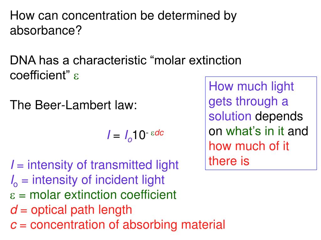 PPT Bi430/530 Theory of DNA Techniques PowerPoint