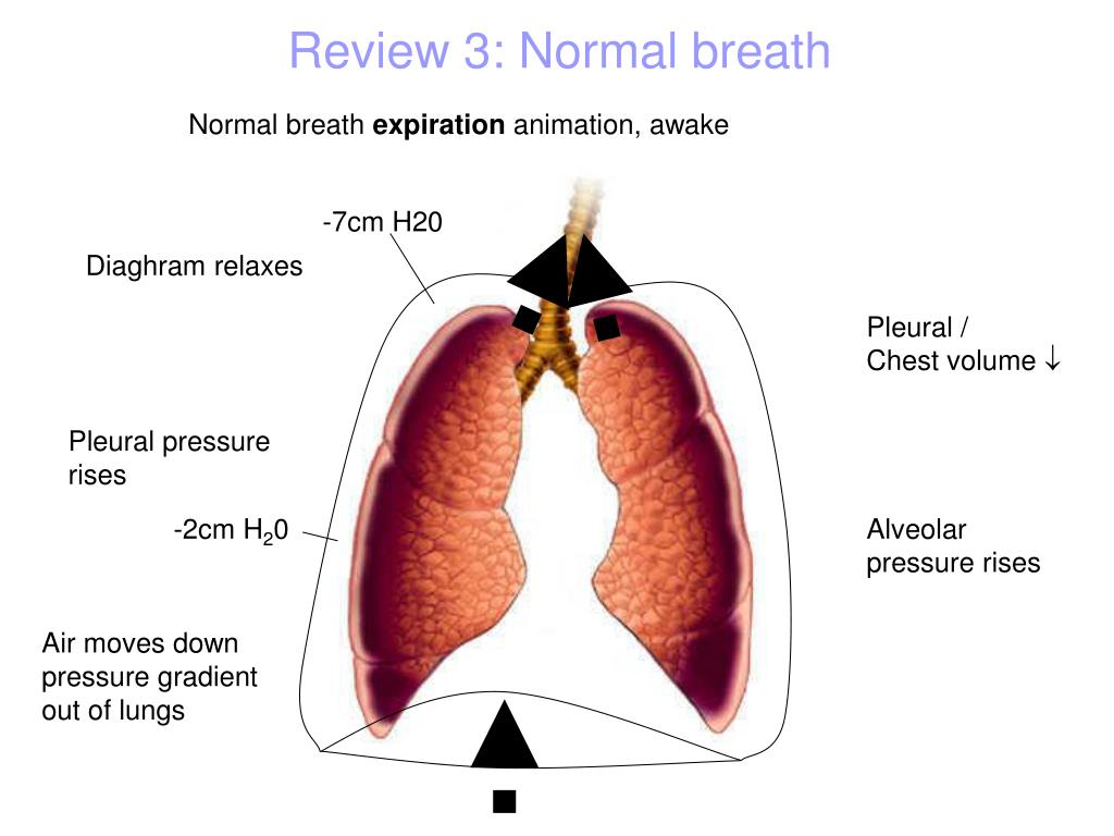 PPT Mechanical Ventilation PowerPoint Presentation, free download