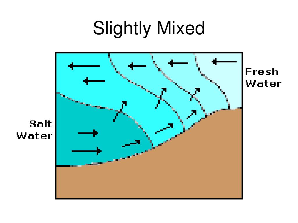 PPT Estuaries PowerPoint Presentation, free download ID164310