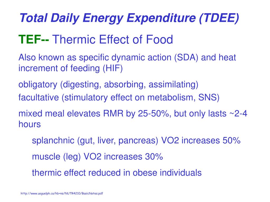 PPT Energy Balance What should we teach our students? PowerPoint
