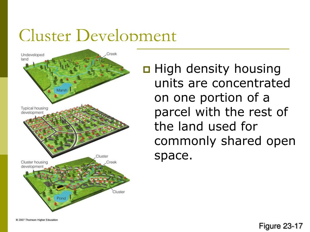 PPT Chapter 23 PowerPoint Presentation, free download ID16912