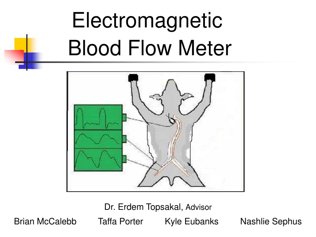 PPT Blood Flow Meter Dr. Erdem Topsakal, Advisor
