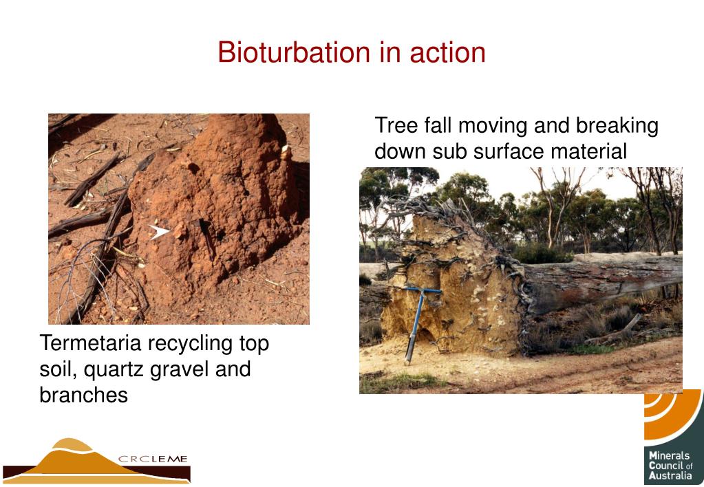 PPT WEATHERING MECHANISMS & PRODUCTS PowerPoint Presentation, free