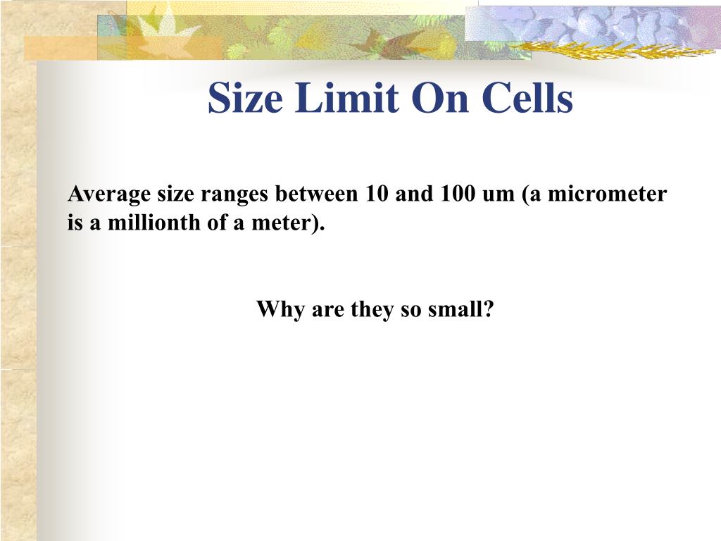 PPT Structure & Function of Cells Chapter 3 PowerPoint Presentation