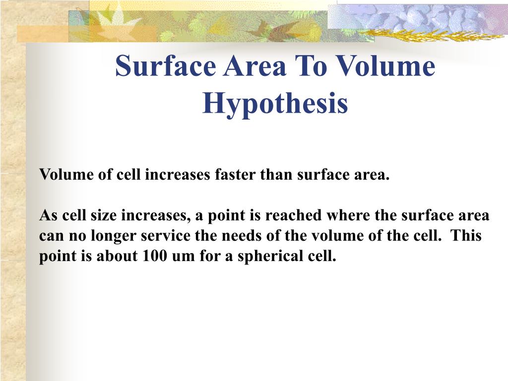 PPT Structure & Function of Cells Chapter 3 PowerPoint Presentation
