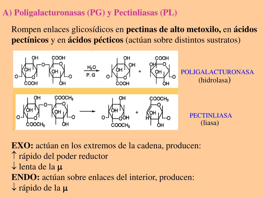 PPT QUÍMICA DE LAS FRUTAS PowerPoint Presentation, free download ID