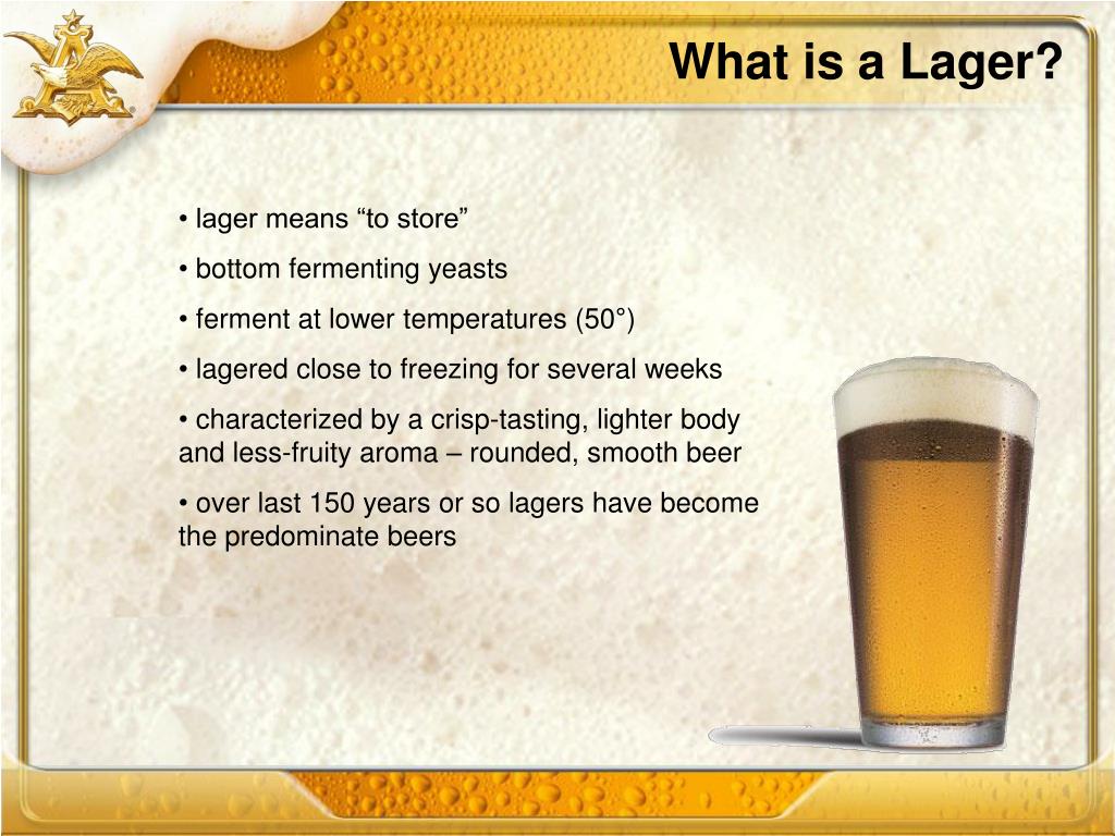 PPT Import/Craft Beer 101 PowerPoint Presentation, free download ID