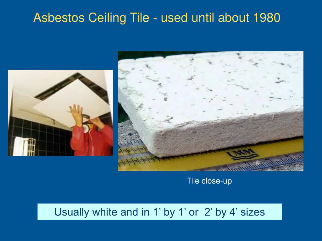 Asbestos Ceiling Tiles Size Shelly Lighting