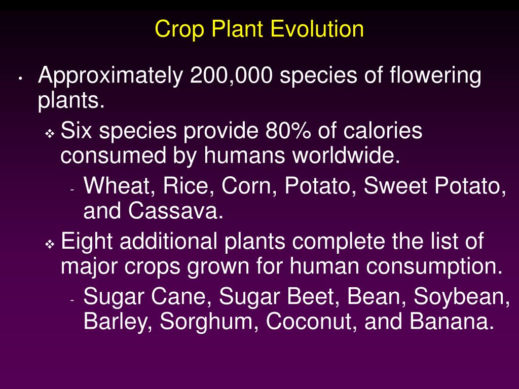PPT Plant Breeding and Propagation PowerPoint Presentation, free