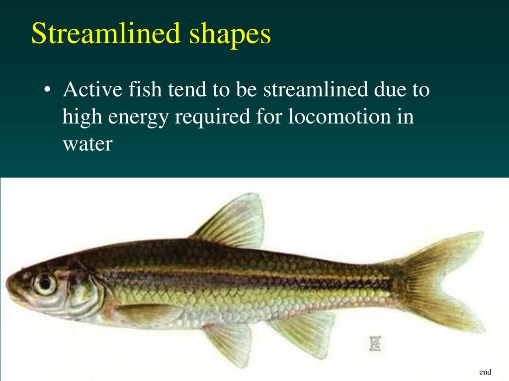 PPT Reading Assignment PowerPoint Presentation, free download ID