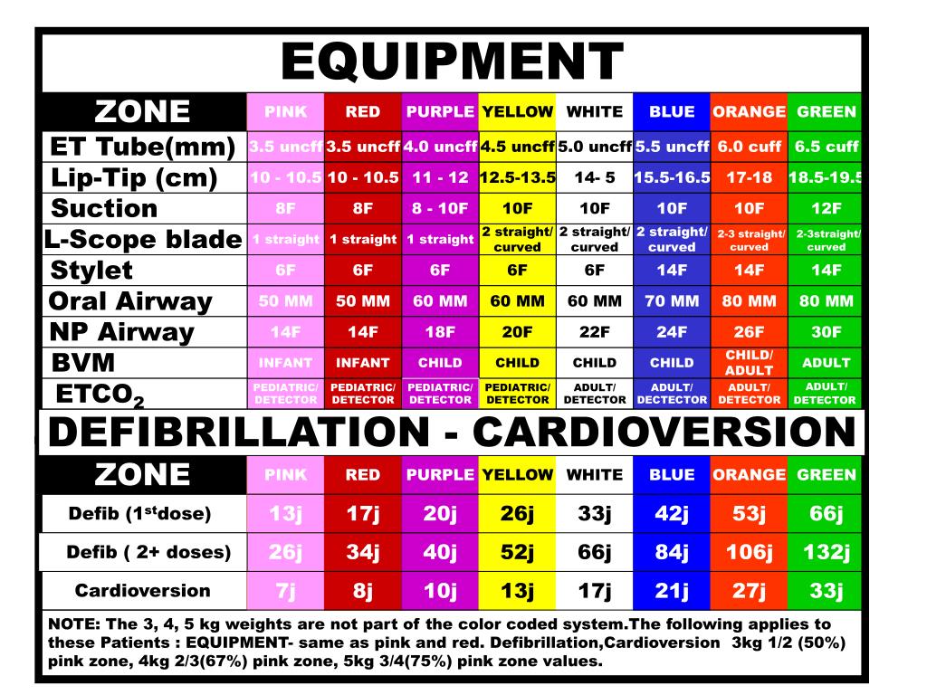 PPT Color Coding Kids PowerPoint Presentation ID179324