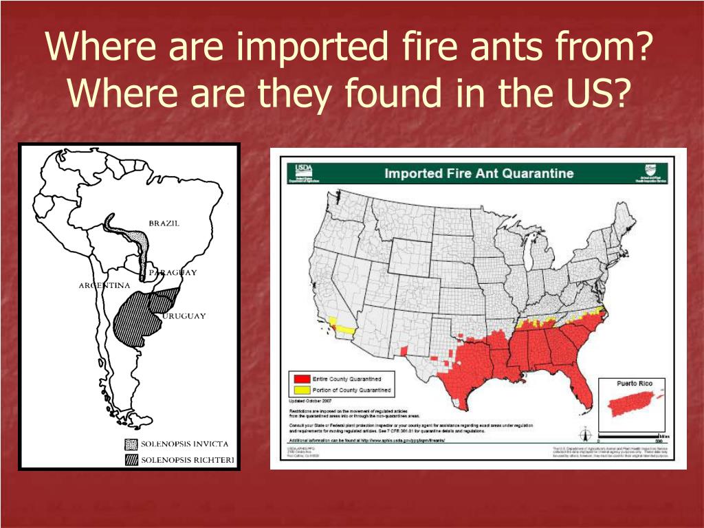 PPT I. Imported Fire Ants in the U.S. History and Program Overview