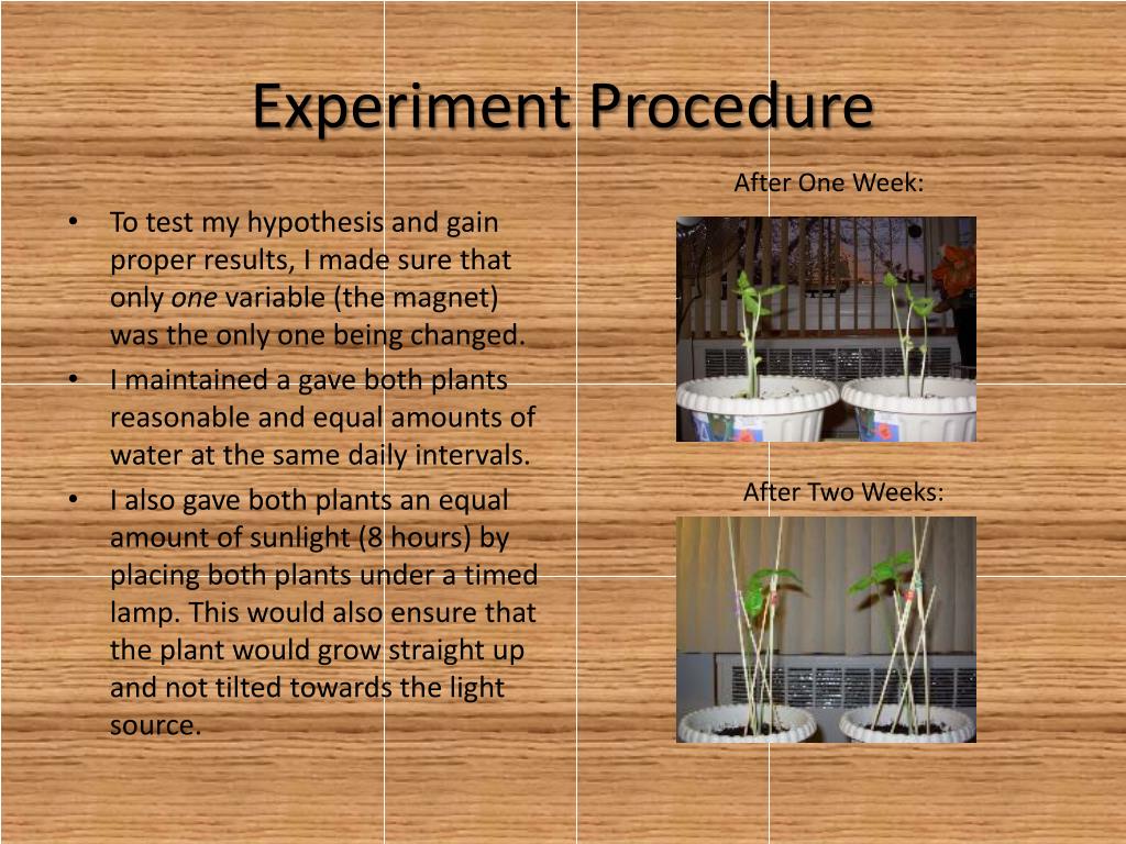 PPT The Effects of Forces on Plant Growth PowerPoint