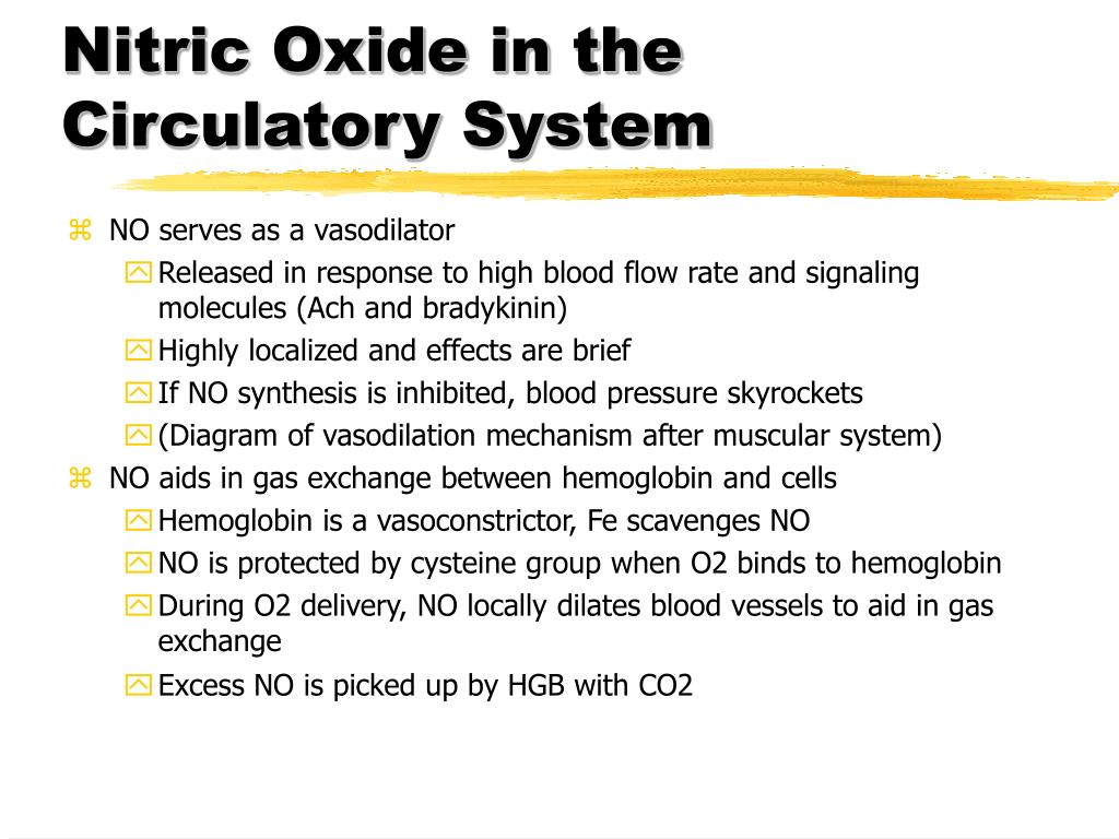 PPT Nitric Oxide PowerPoint Presentation, free download ID183938