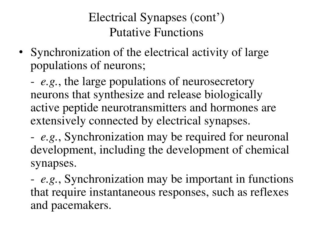 PPT Chemical and Electrical Synapses PowerPoint Presentation, free