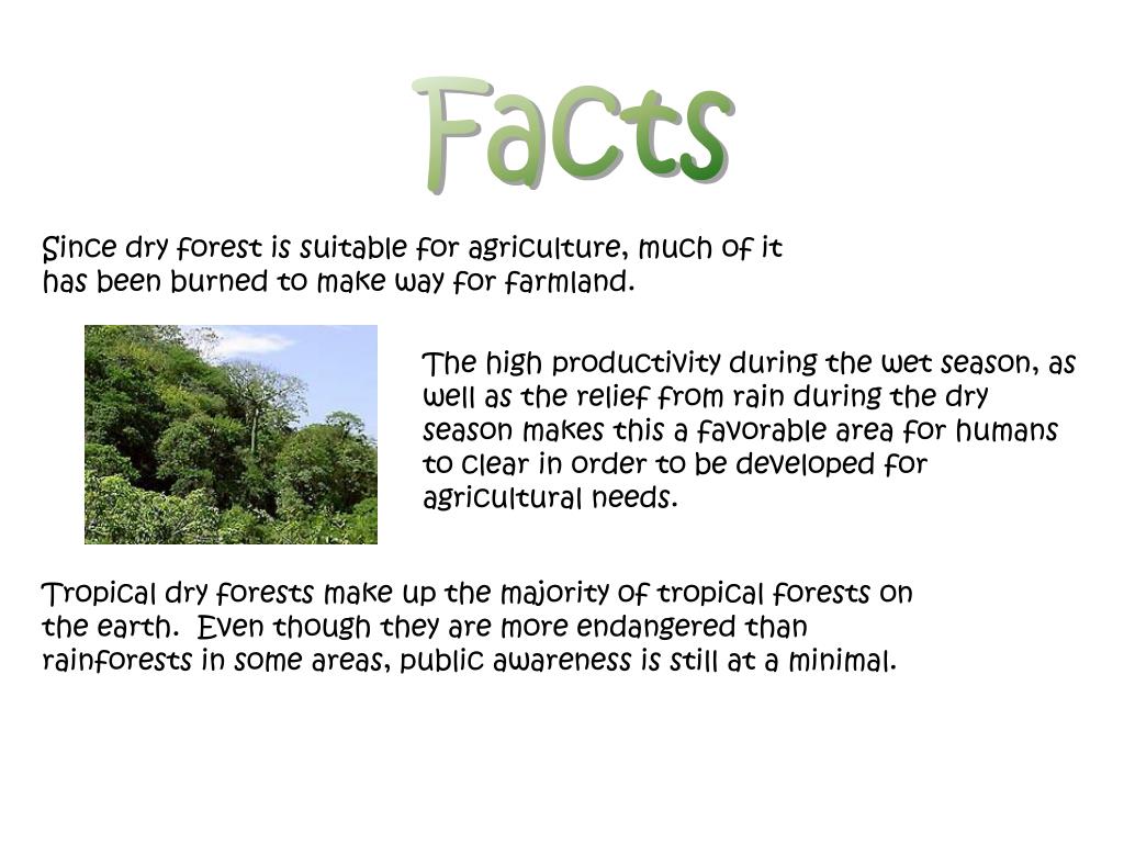 PPT Tropical Dry Forest PowerPoint Presentation, free download ID