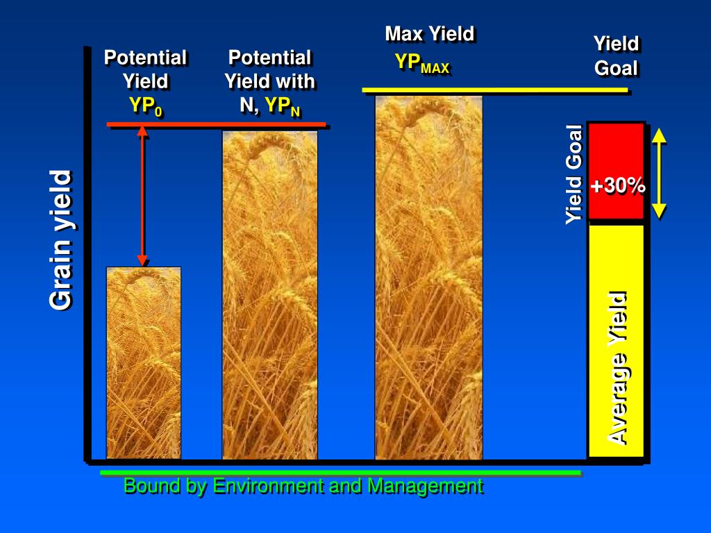 PPT History of Predicting Yield Potential PowerPoint Presentation