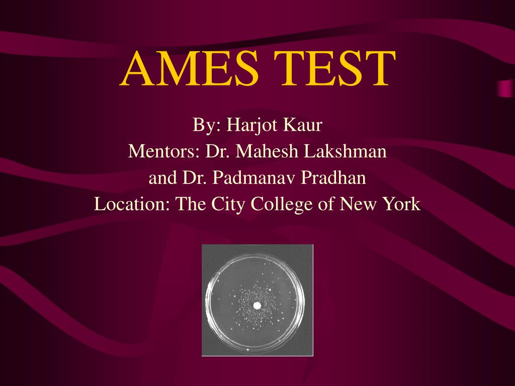 PPT AMES TEST PowerPoint Presentation ID192032